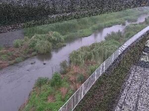 神奈川県寒川町 小出川 一ツ橋のライブカメラ