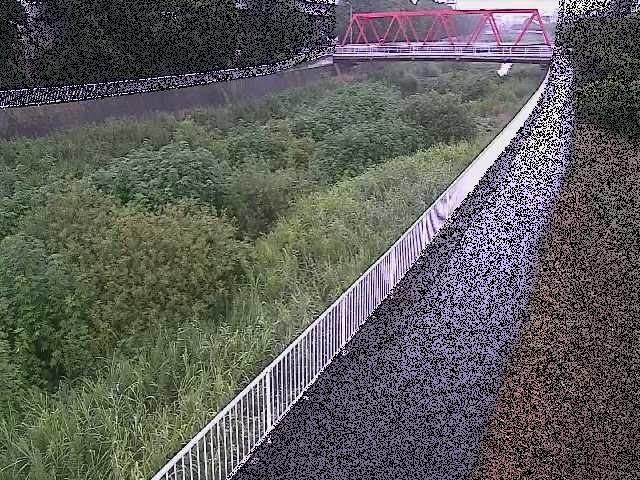 小出川 新鶴嶺橋のライブカメラ|神奈川県茅ヶ崎市のサムネイル