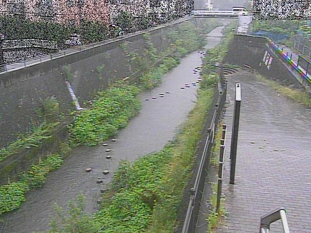 三沢川 天宿橋のライブカメラ|神奈川県川崎市のサムネイル