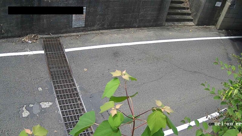 大森町アンダーパス（名神高速道路下）のライブカメラ|滋賀県東近江市のサムネイル