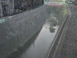 大岡川 埋田橋のライブカメラ|神奈川県横浜市のサムネイル