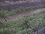 境川 幸延寺橋のライブカメラ|東京都町田市のサムネイル