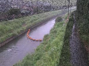 神奈川県藤沢市 境川 大清水橋のライブカメラ