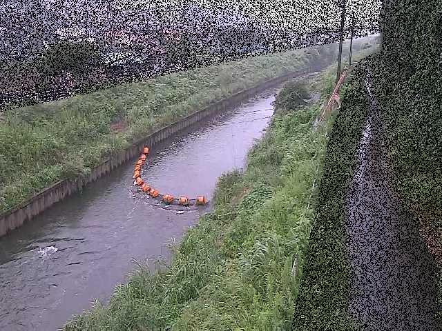 境川 大清水橋のライブカメラ|神奈川県藤沢市のサムネイル