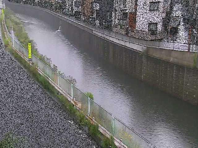 境川 境橋のライブカメラ|神奈川県大和市のサムネイル