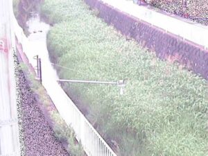 神奈川県逗子市 田越川 堰橋のライブカメラ