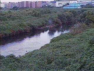 鶴見川 落合橋のライブカメラ|神奈川県横浜市のサムネイル