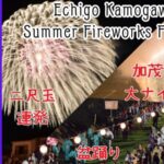 越後加茂川夏祭り大花火大会のライブカメラ|新潟県加茂市のサムネイル