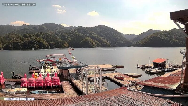 勝瀬観光より相模湖のライブカメラ|神奈川県相模原市のサムネイル