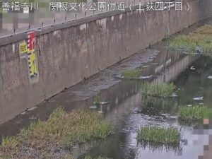 東京都杉並区 善福寺川 丸山橋下流（動画）のライブカメラ