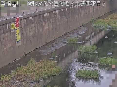 善福寺川 丸山橋下流（動画）のライブカメラ|東京都杉並区のサムネイル