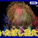 ANNよりいたばし花火のライブカメラ|東京都板橋区のサムネイル