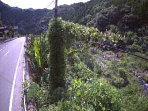 和歌山県有田川町 有田川 粟生第2のライブカメラ