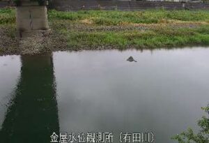 和歌山県有田川町 有田川 金屋のライブカメラ