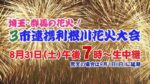 J:COMより3市連携利根川花火大会のライブカメラ|群馬県伊勢崎市のサムネイル