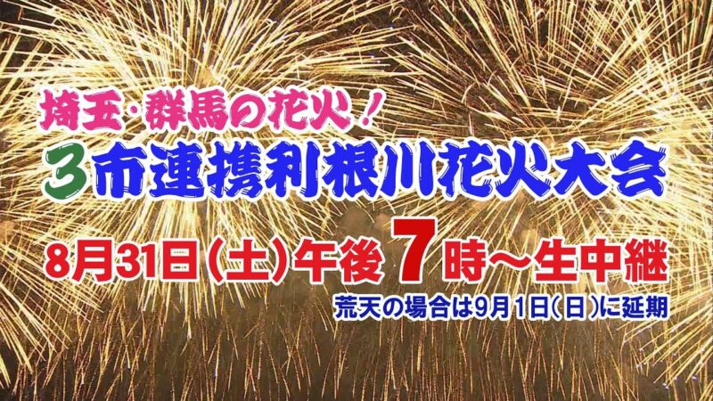 J:COMより3市連携利根川花火大会のライブカメラ|群馬県伊勢崎市のサムネイル