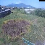 紀の川 大谷川樋門のライブカメラ|和歌山県橋本市のサムネイル