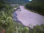 北山川 七色のライブカメラ|和歌山県北山村のサムネイル