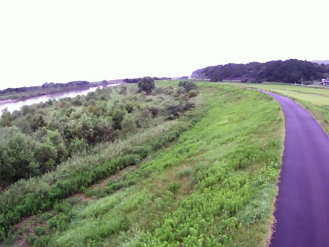 最上川 地見興屋(22.0k 右岸)のライブカメラ|山形県酒田市のサムネイル