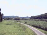 最上川 河井山のライブカメラ|山形県長井市のサムネイル