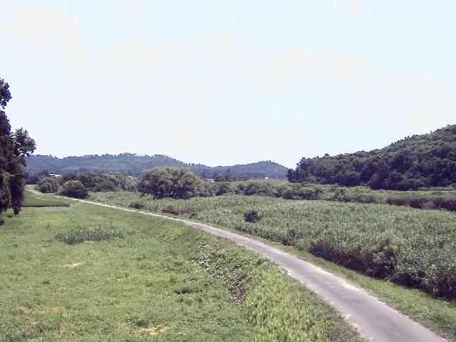 最上川 河井山のライブカメラ|山形県長井市のサムネイル