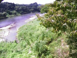 山形県大石田町 最上川 駒籠 (80.1k 右岸)のライブカメラ