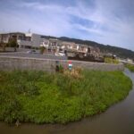 七瀬川 永穂のライブカメラ|和歌山県和歌山市のサムネイル