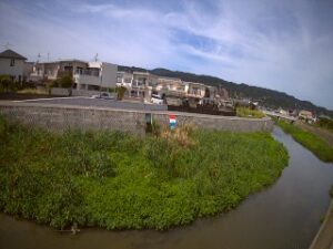 和歌山県和歌山市 七瀬川 永穂のライブカメラ