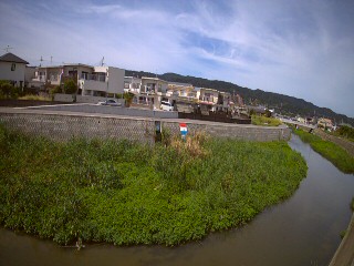 七瀬川 永穂のライブカメラ|和歌山県和歌山市のサムネイル