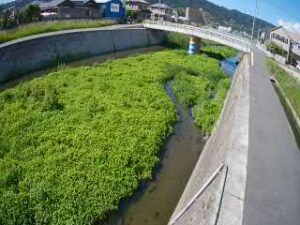 和歌山県和歌山市 七瀬川 新かみそり橋のライブカメラ