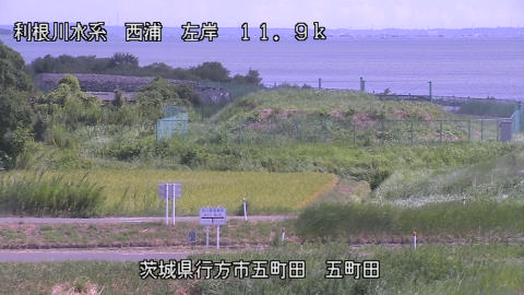 西浦 五町田のライブカメラ|茨城県行方市のサムネイル