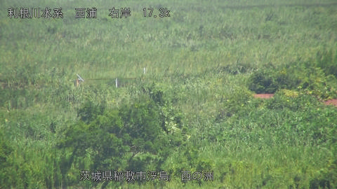 西浦 西の洲のライブカメラ|茨城県稲敷市のサムネイル