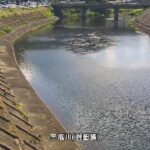 三瓶川 神田橋のライブカメラ|島根県大田市のサムネイル