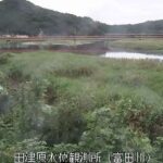 富田川 田津原のライブカメラ|和歌山県白浜町のサムネイル