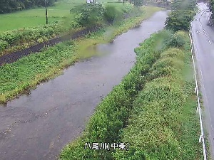 八尾川 中条のライブカメラ|島根県隠岐の島町のサムネイル