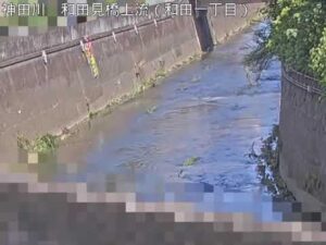 東京都杉並区 神田川 和田見橋上流のライブカメラ