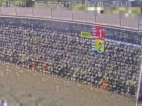 善福寺川 武蔵野橋上流のライブカメラ|東京都杉並区のサムネイル