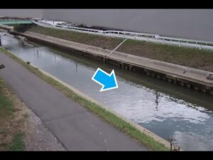 和歌山県和歌山市 和田川 広見橋 下流（動画版）のライブカメラ