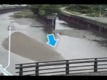 亀の川 羽鳥橋（動画版）のライブカメラ|和歌山県和歌山市のサムネイル