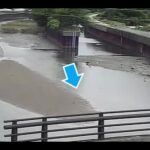 亀の川 羽鳥橋（動画版）のライブカメラ|和歌山県和歌山市のサムネイル