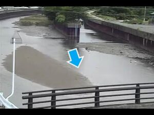 和歌山県和歌山市 亀の川 羽鳥橋（動画版）のライブカメラ