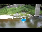 貴志川 小川橋（動画版）のライブカメラ|和歌山県紀美野町のサムネイル