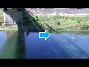 和歌山県有田川町 有田川 金屋橋（動画版）のライブカメラ