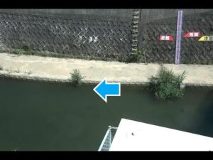 和歌山県湯浅町 山田川 三之橋（動画版）のライブカメラ