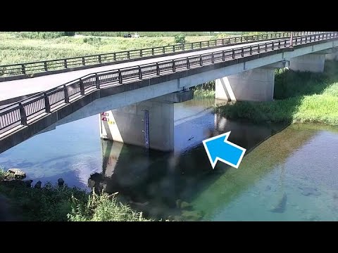 南部川 須賀橋（動画版）のライブカメラ|和歌山県みなべ町のサムネイル