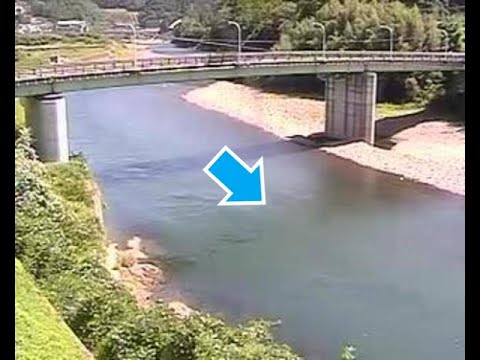 日高川 新田橋（動画版）のライブカメラ|和歌山県日高川町のサムネイル