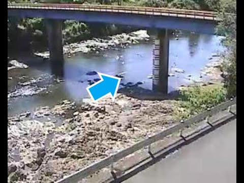 日高川 長子橋 上流（動画版）のライブカメラ|和歌山県日高川町のサムネイル