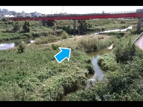 左会津川 高雄大橋 上流（動画版）のライブカメラ|和歌山県田辺市のサムネイル