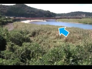 和歌山県白浜町 富田川 田津原・白鷺橋 上流（動画版）のライブカメラ