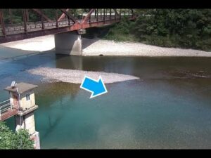 和歌山県白浜町 日置川 安居橋（動画版）のライブカメラ